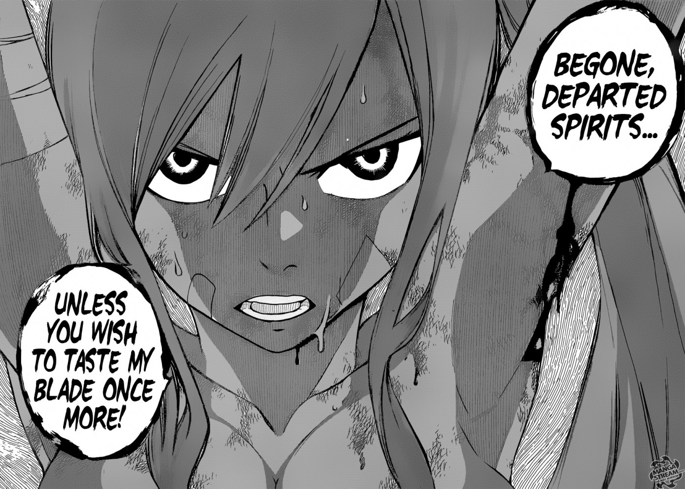 Fairy Tail Chapter 482 19